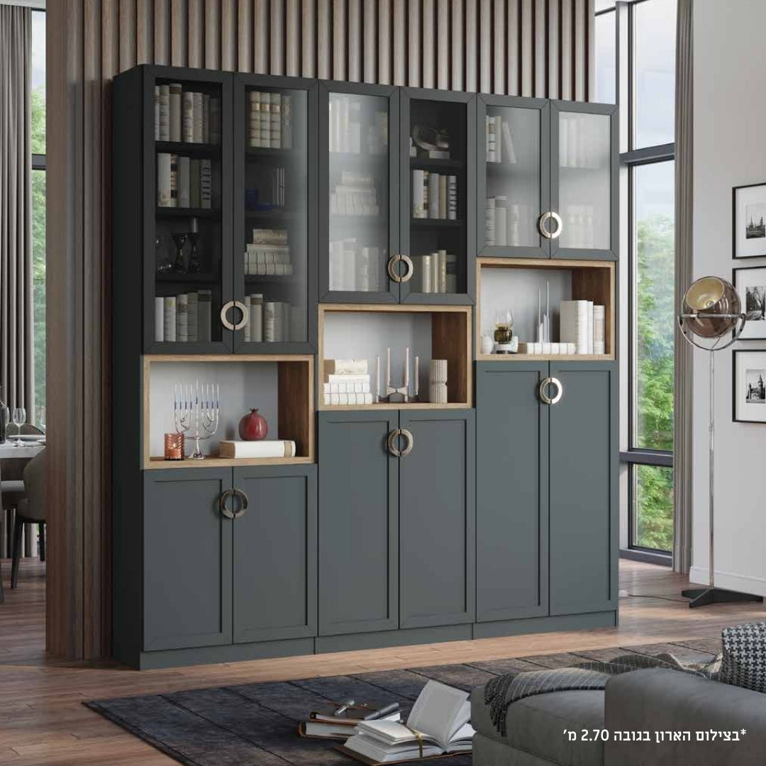 DOLEV | ארון מודרני לסלון עם תאים פתוחים ודלתות זכוכית - 240 ס"מ - 6 דלתות - אשריאן | ASHERIAN