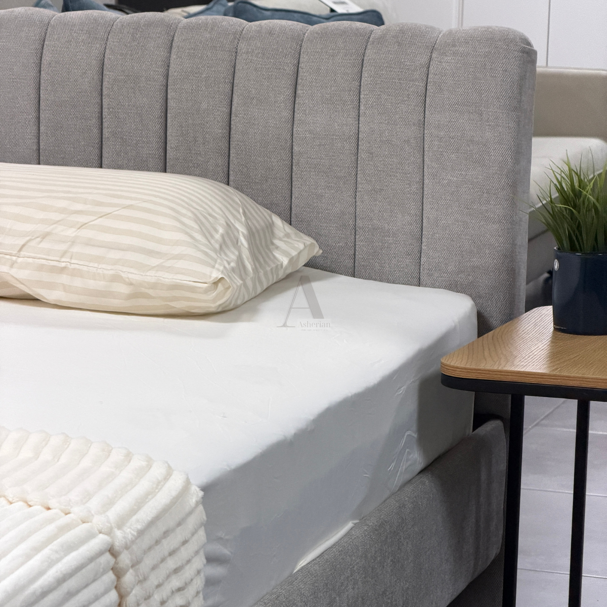 FRIEND | מיטת ילדים מרופדת עם מזרנים ומיטת חבר נשלפת בעיצוב מודרני