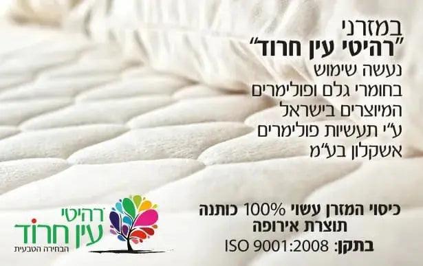 Neptune | מיטת ילדים מעוצבת עם מיטת חבר. מגירות ומזרנים במתנה רהיטי עין חרוד - - אשריאן | ASHERIAN