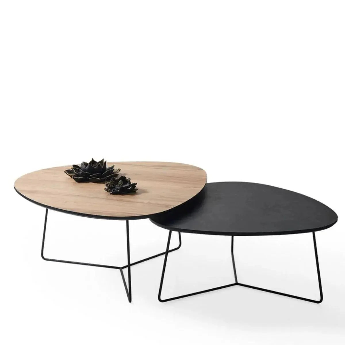 VIVO | צמד שולחנות אמורפיים לסלון בשלוב צבעים מהמם - אלון טבעי - אשריאן | ASHERIAN