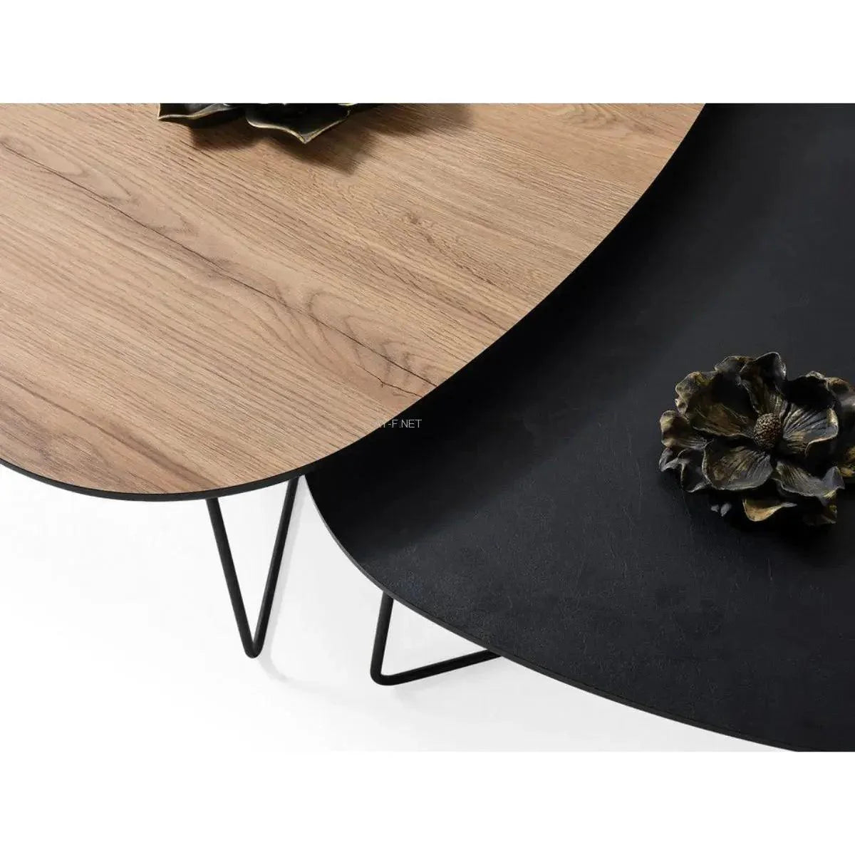 VIVO | צמד שולחנות אמורפיים לסלון בשלוב צבעים מהמם - - אשריאן | ASHERIAN