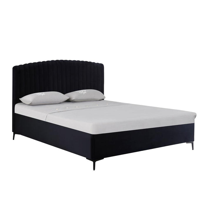 Ronda | מיטה זוגית מרופדת בעיצוב מעוגל עם ארגז מצעים - אשריאן רהיטים - ASHERIAN