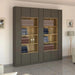 Gilboa | ספריה מעוצבת עם מדפי תצוגה - אשריאן | ASHERIAN