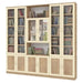 סביון | ארון ספרים מעוצב מעץ סנדוויץ' עם 6 דלתות ברוחב 2.40 מ' - Asherian | אשריאן רהיטים