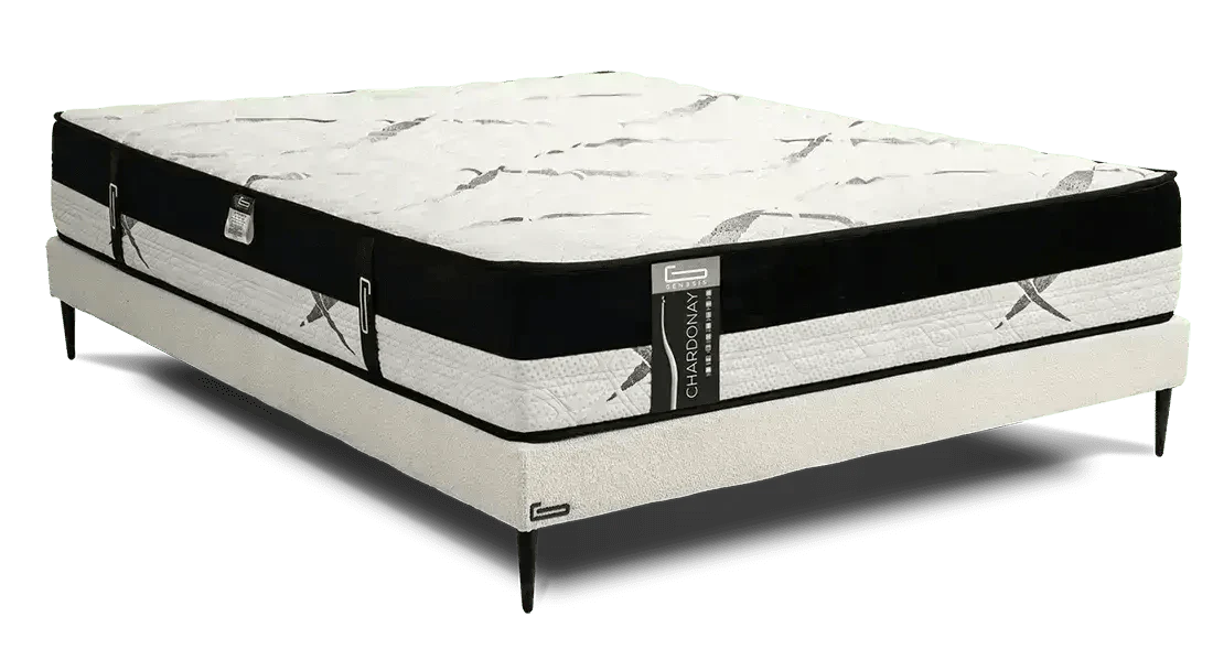 CHARDONNAY | מזרן קפיצים מבודדים מפנק בשילוב ויסקו Genesis -    - אשריאן | ASHERIAN