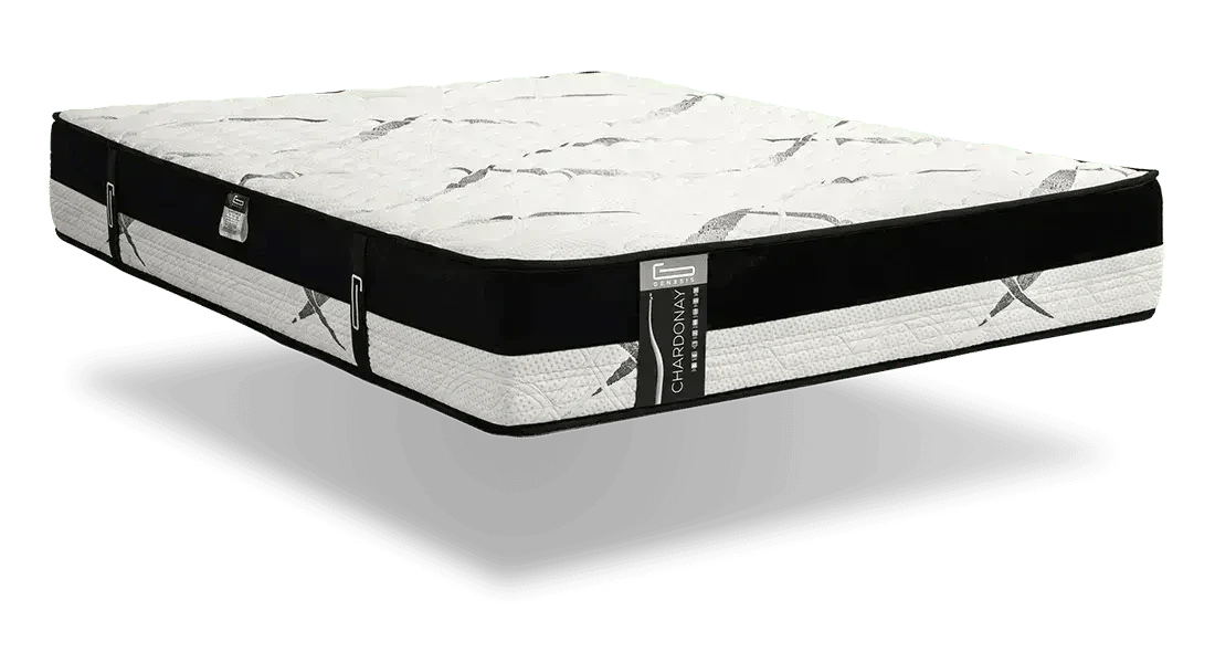 CHARDONNAY | מזרן קפיצים מבודדים מפנק בשילוב ויסקו Genesis -    - אשריאן | ASHERIAN