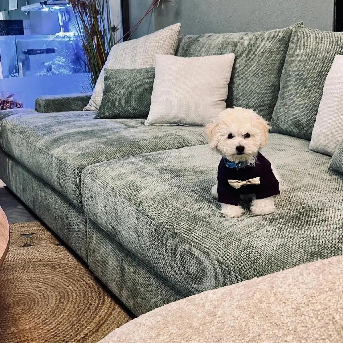 LOFT | ספת רביצה בעיצוב אורבני מפנקת במיוחד -    - אשריאן | ASHERIAN