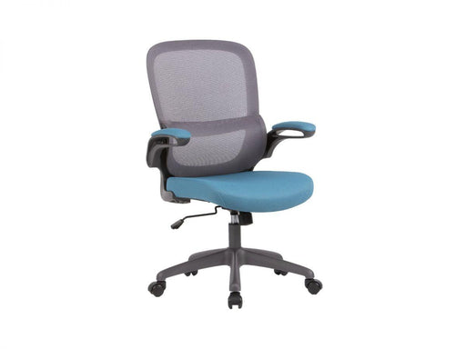 GENIUS | כיסא משרדי נוח במיוחד למשקל עד 140 ק״ג ד"ר גב - אשריאן | ASHERIAN