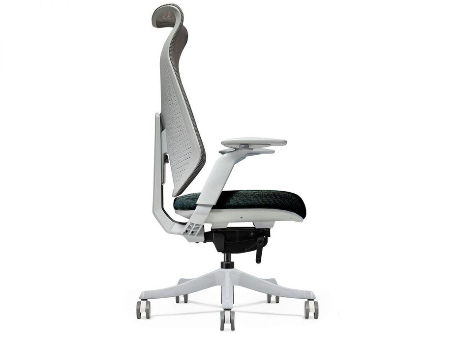 IMPACT XL | כסא מנהלות ומנהלים בעיצוב אנטומי ד"ר גב - אשריאן | ASHERIAN