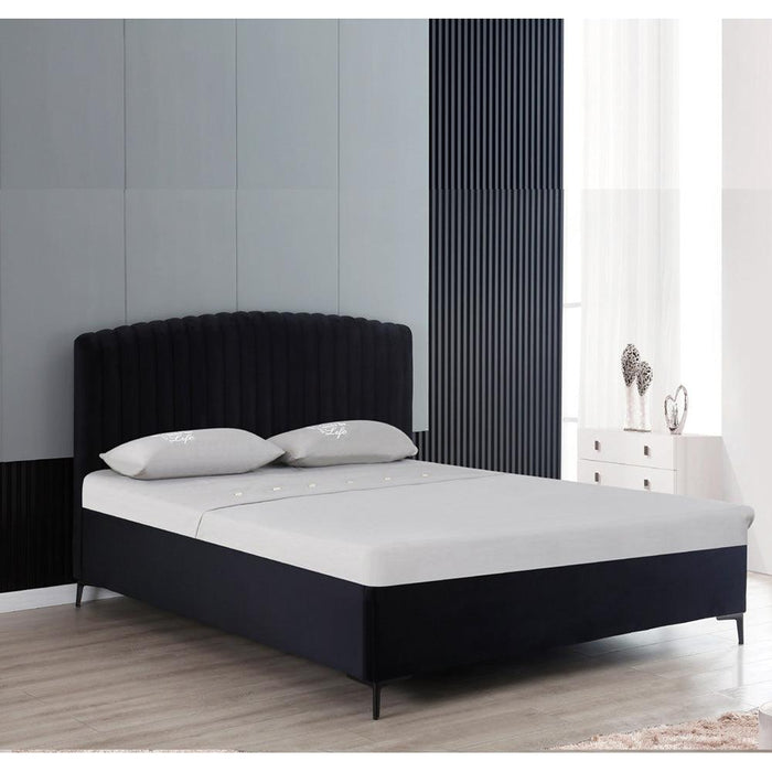 Ronda | מיטה זוגית מרופדת בעיצוב מעוגל עם ארגז מצעים - אשריאן | ASHERIAN