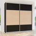 פיקוס | ארון הזזה 2 דלתות בעיצוב מודרני - אשריאן רהיטים - אשריאן | ASHERIAN
