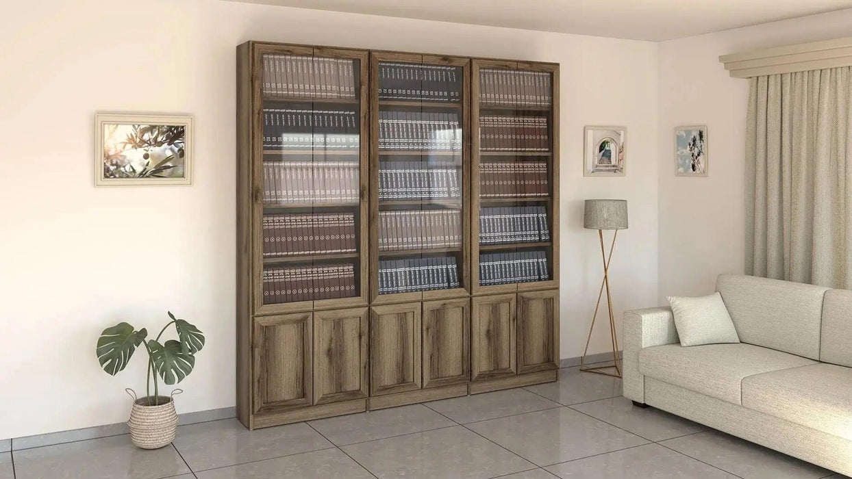 K381 | ספריה מעוצבת עם 2 דלתות זכוכית - אשריאן רהיטים - אשריאן | ASHERIAN