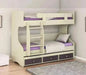 דניאלה | מיטת קומותיים מעוצבת ואיכותית עם מיטת חבר ו-3 מגירות - Asherian | אשריאן רהיטים